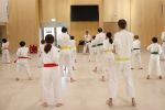 Class practicing straight punch - choku zuki.