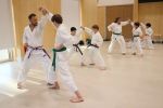 Gallery image sanbon-kumite-6