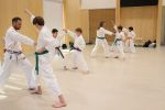 Gallery image sanbon-kumite-7