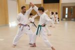 Gallery image sanbon-kumite-5