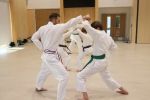 Gallery image sanbon-kumite-3