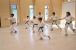Gallery image oi-zuki-stepping
