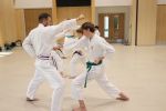 Gallery image sanbon-kumite-4