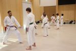 Gallery image sanbon-kumite-1