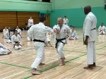 Simon and Joe demonsrating basic kumite teachniques in the training session before the grading